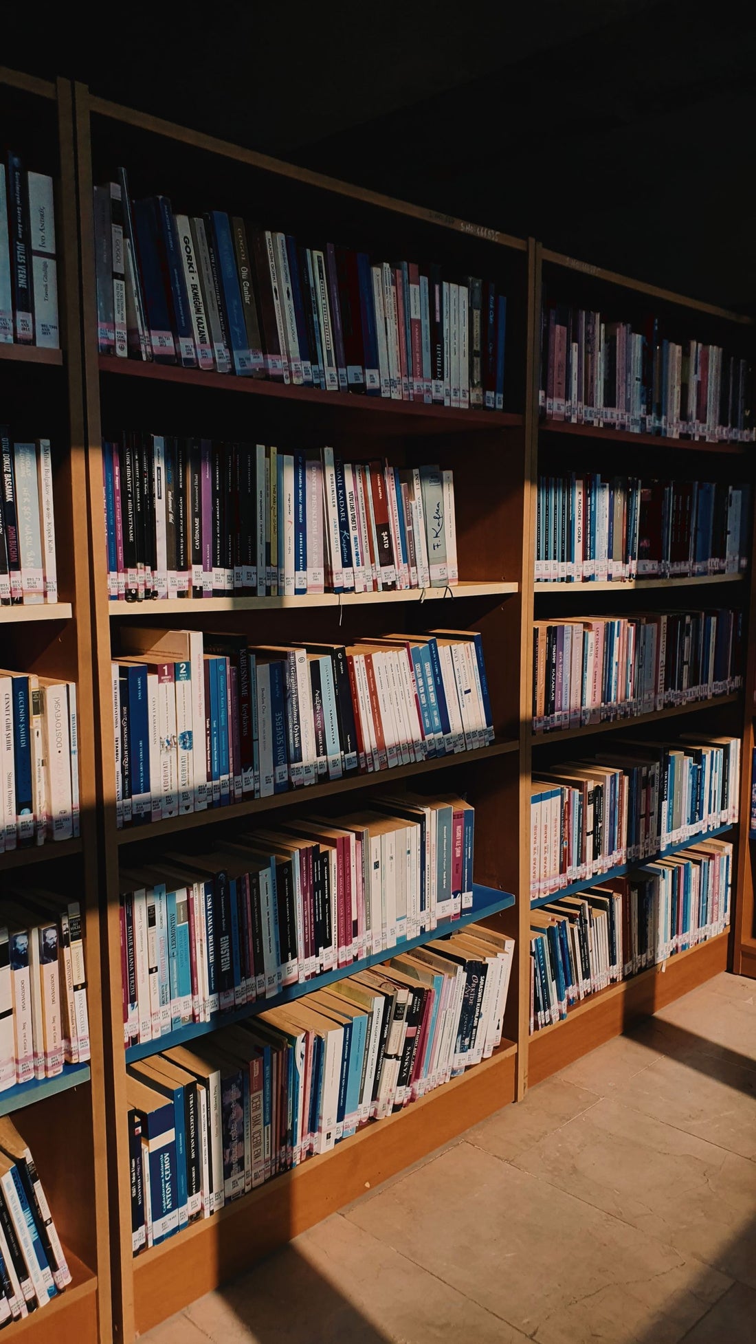 Library shelves full of books