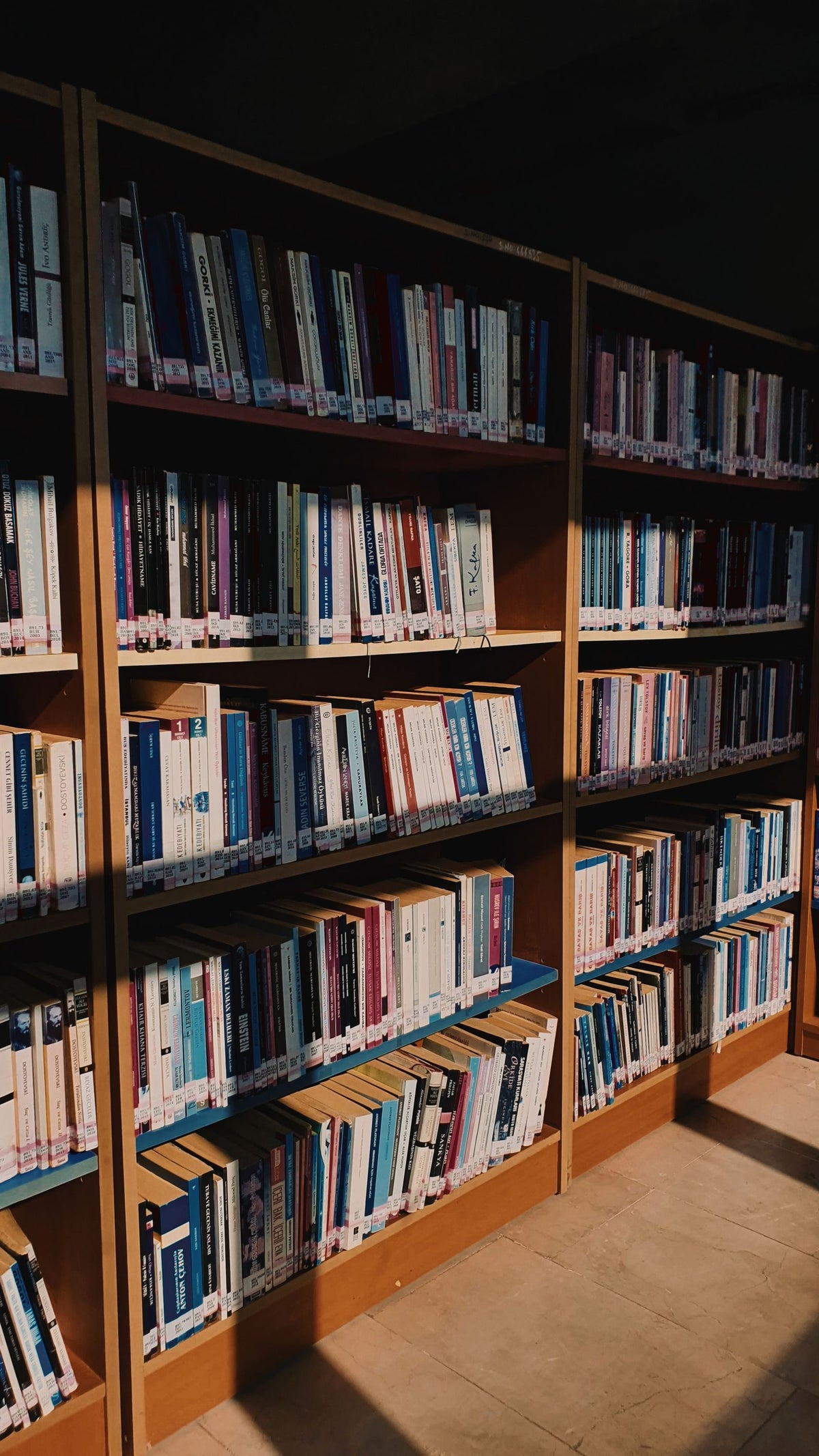 Library shelves full of books