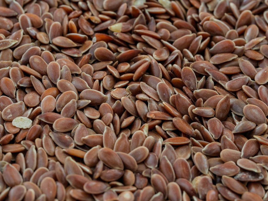 Close-up of brown flax seeds