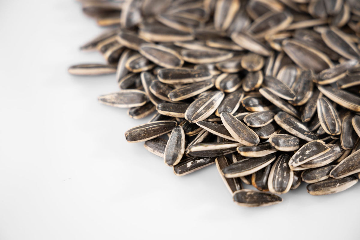 Close-up of sunflower seeds