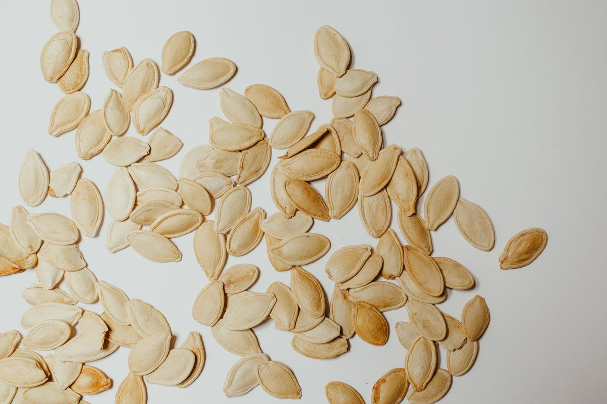 Close-up of pumpkin seeds